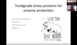 Tardigrade stress proteins for enzyme protection