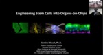 Engineering Stem Cells in Organs on Chips