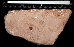 Rock by Institute of Archaeology, Andrews University