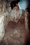 Burshing Skulls by Institute of Archaeology, Andrews University