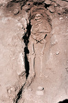 skelleton by Institute of Archaeology, Andrews University