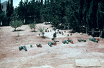 Many buckets by Institute of Archaeology, Andrews University