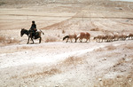 Caravan by Institute of Archaeology, Andrews University