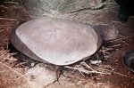 Flating bread by Institute of Archaeology, Andrews University