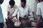 pot inspection by Institute of Archaeology, Andrews University