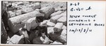 Peter Thorne Numbering and Lettering Rocks by Andrews University, Institute of Archaeology