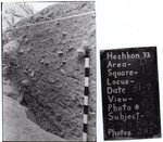 South Balk by Andrews University, Institute of Archaeology.