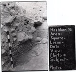 (4) South Balk by Andrews University, Institute of Archaeology.