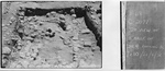 Top view of S. Half by Institute of Archaeology, Andrews University