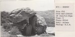 Dolmen by Andrews University, Institute of Archaeology.