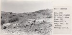 Wall at Baddih by Andrews University, Institute of Archaeology.