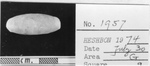 HESHBON 1974 - THE OBJECTS - No.1957 by Institute of Archaeology, Andrews University