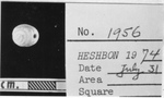 HESHBON 1974 - THE OBJECTS - No.1956 by Institute of Archaeology, Andrews University