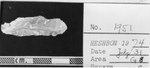 HESHBON 1974 - THE OBJECTS - No.1951 by Institute of Archaeology, Andrews University