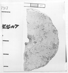 Weight by Institute of Archaeology, Andrews University