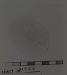 Object by Institute of Archaeology, Andrews University