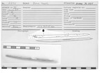Bone Needle by Andrews University, Institute of Archaeology
