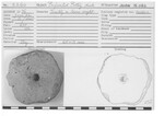 Perforated Pottery Disk by Andrews University, Institute of Archaeology