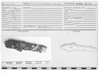 Iron Knife Blade with Rivet by Andrews University, Institute of Archaeology