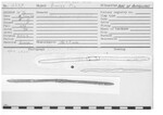 Double-Ended Kohl Stick by Andrews University, Institute of Archaeology