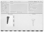 Iron Nail by Andrews University, Institute of Archaeology