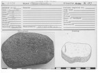 Grinding Stone - Muller by Andrews University, Institute of Archaeology