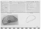Spindle Whorl Fragment by Andrews University, Institute of Archaeology